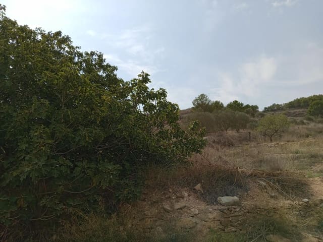 Terreno Non Edificato in vendita in Perin, Cartagena - 43.000 € (Rif: 8688171)
