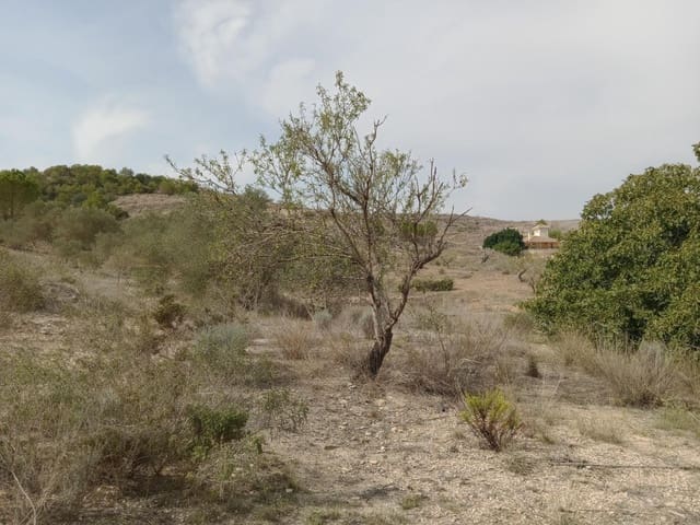 Terreno Non Edificato in vendita in Perin, Cartagena - 43.000 € (Rif: 8688171)