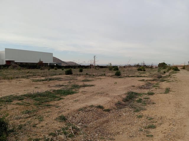 Undeveloped Land for rent in La Aljorra, Cartagena - € 500 (Ref: 8838837)