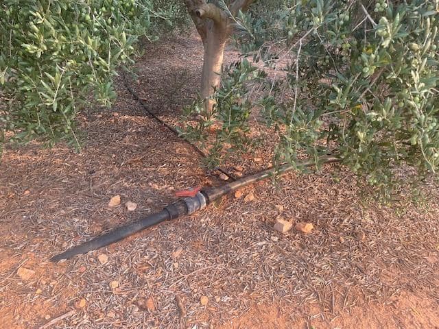 Terreno Não Urbanizado para venda em Cartagena - 299 000 € (Ref: 9187113)