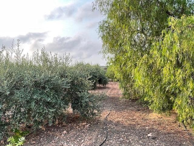 Terreno Não Urbanizado para venda em Cartagena - 299 000 € (Ref: 9187113)