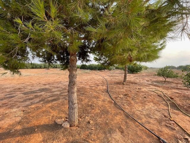 Terreno Não Urbanizado para venda em Cartagena - 299 000 € (Ref: 9187113)