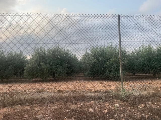 Terreno Não Urbanizado para venda em Cartagena - 299 000 € (Ref: 9187113)