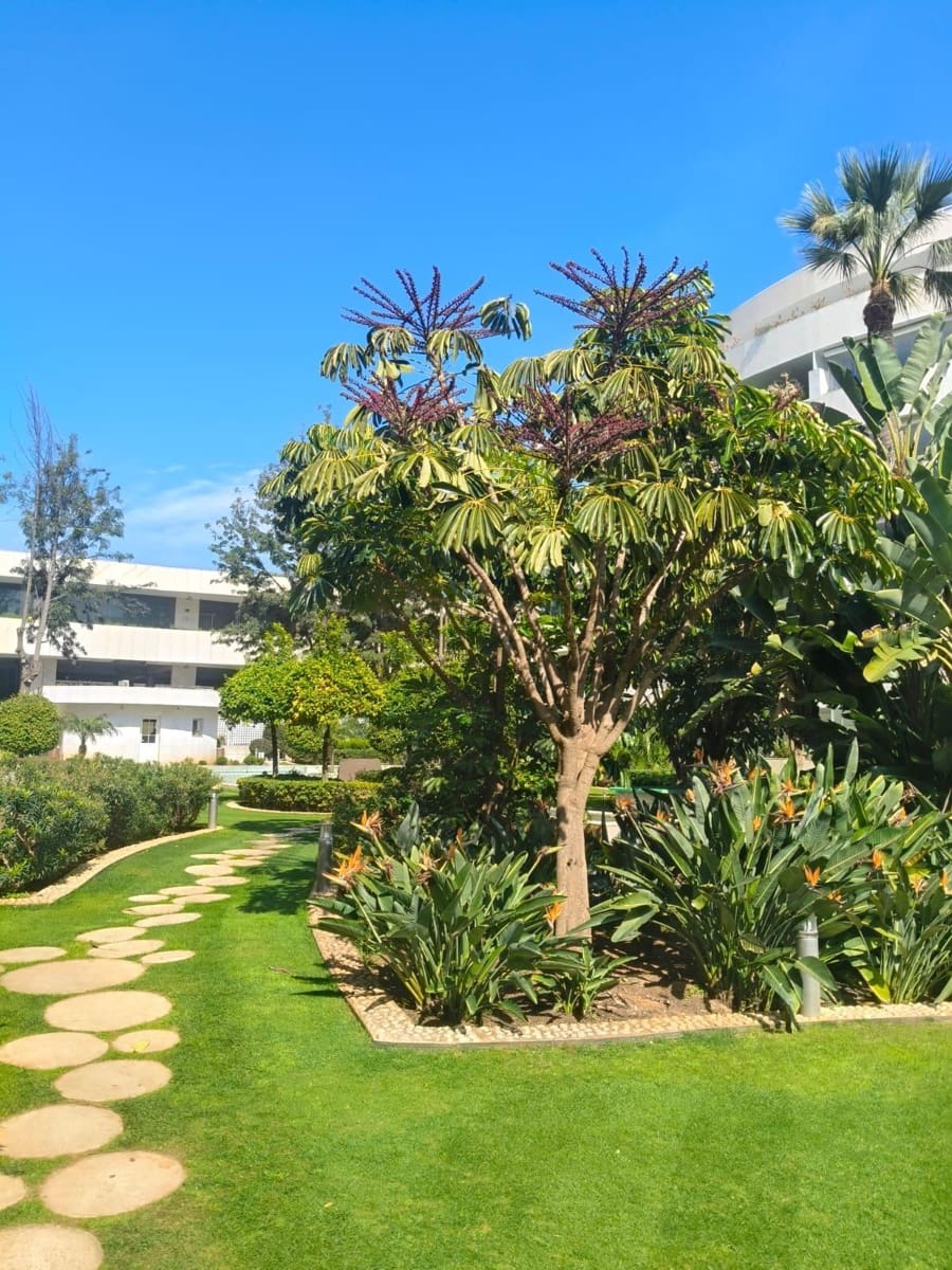 2 slaapkamer Appartement te koop in Puerto Banus met zwembad - € 1.175.000 (Ref: 9674184)