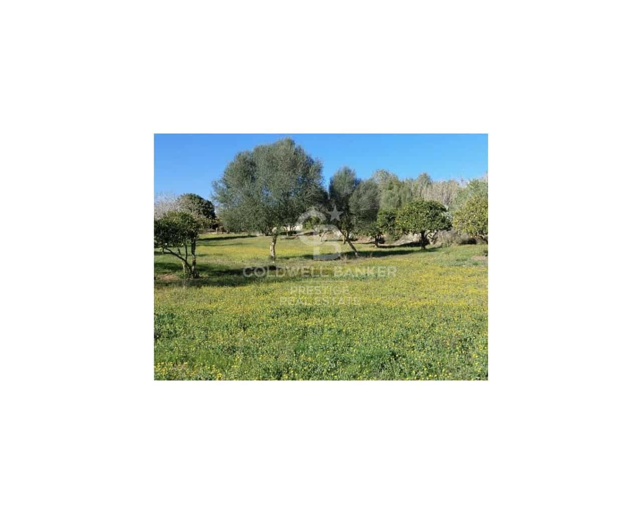 5 sovrum Finca/Hus på landet till salu i Arta - 985 000 € (Ref: 9644657)