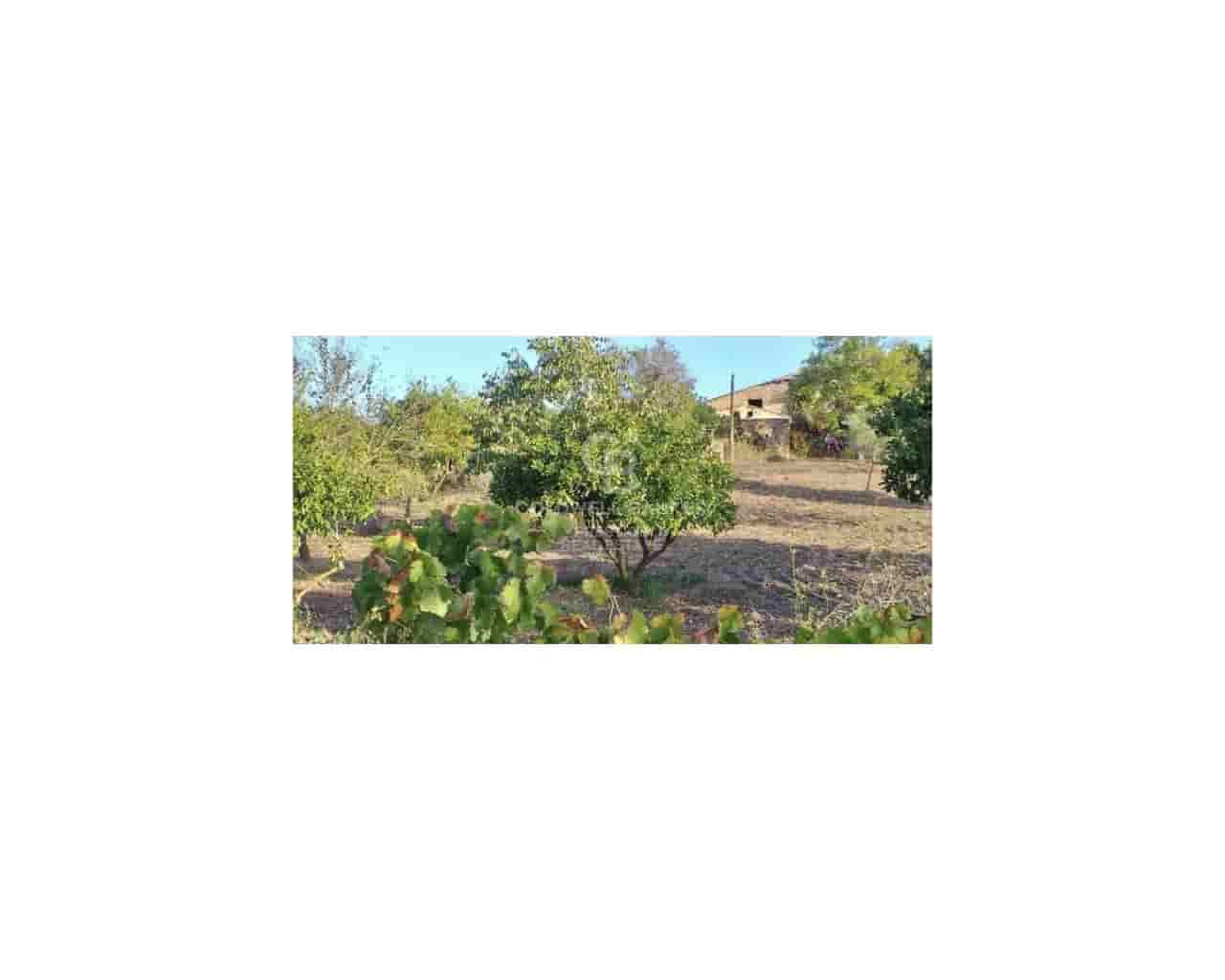 5 sovrum Finca/Hus på landet till salu i Arta - 985 000 € (Ref: 9644657)