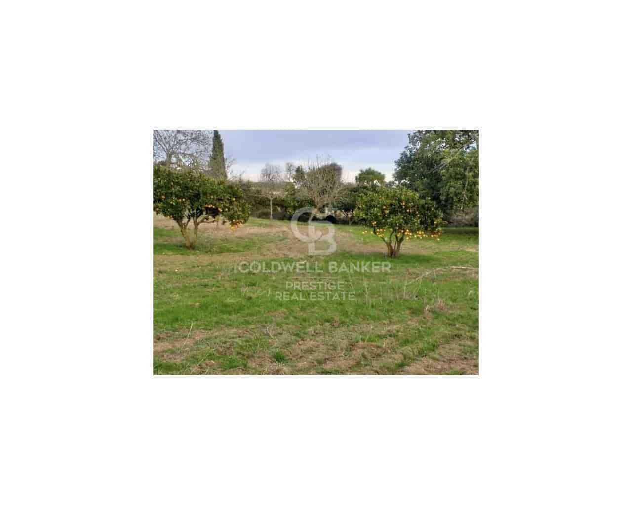 5 sovrum Finca/Hus på landet till salu i Arta - 985 000 € (Ref: 9644657)