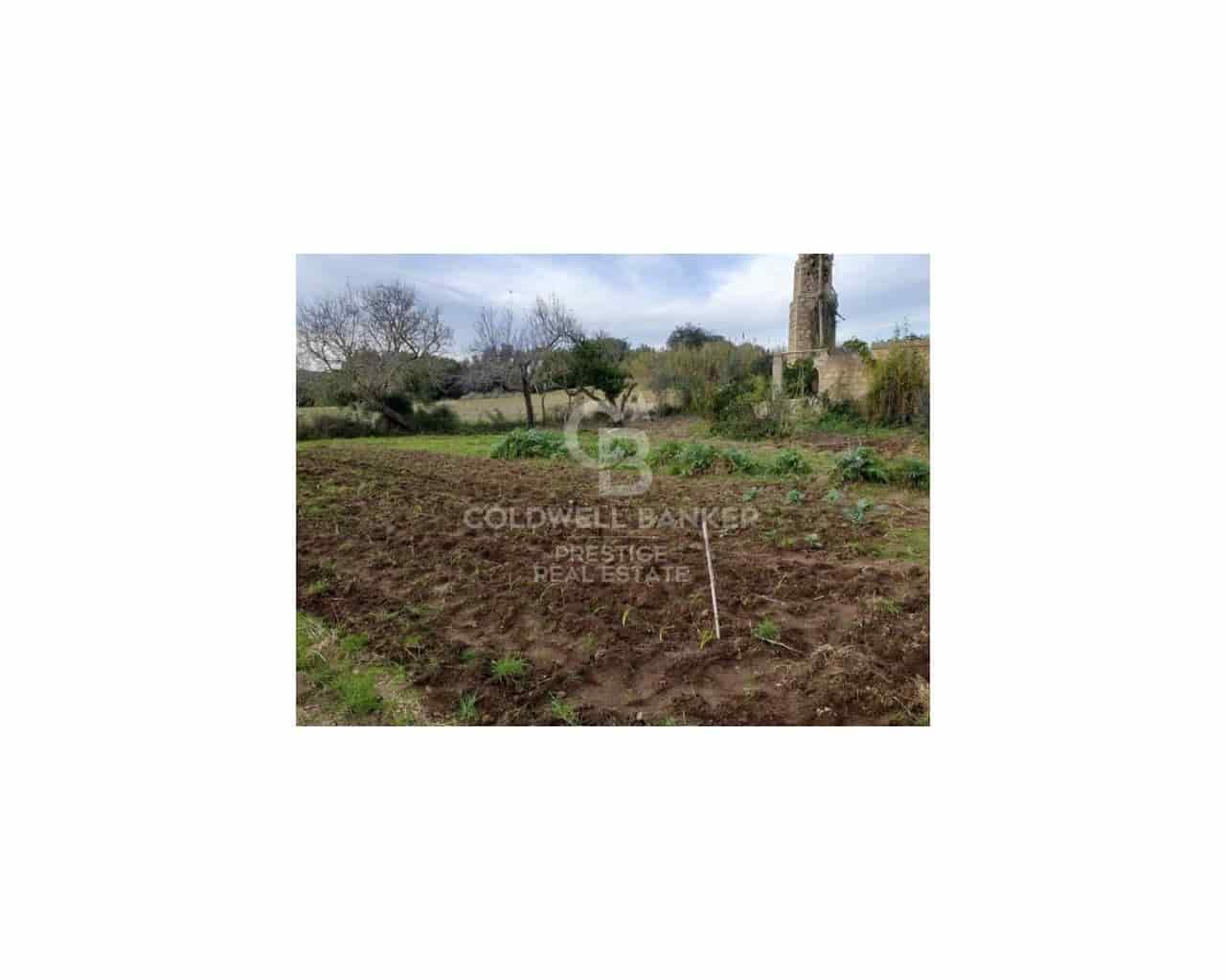 5 sovrum Finca/Hus på landet till salu i Arta - 985 000 € (Ref: 9644657)