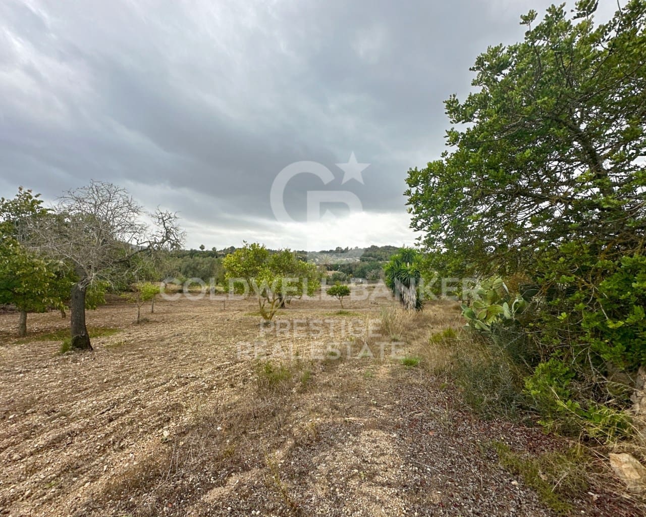 5 sovrum Finca/Hus på landet till salu i Arta - 985 000 € (Ref: 9644657)