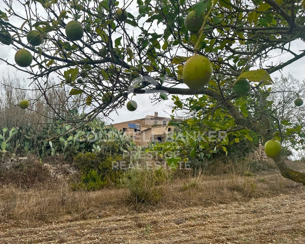 5 sovrum Finca/Hus på landet till salu i Arta - 985 000 € (Ref: 9644657)