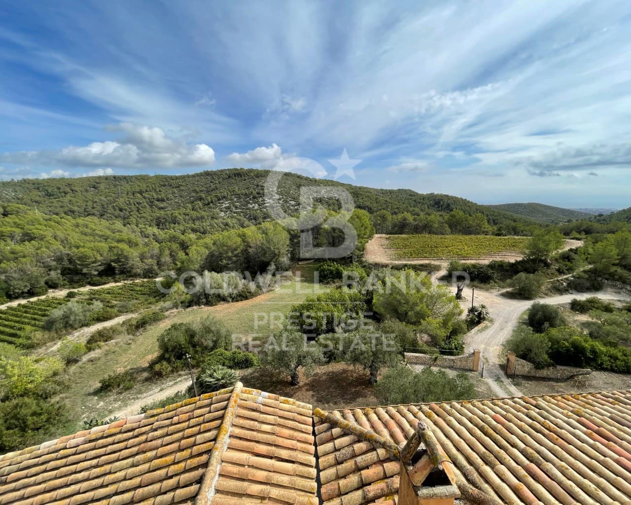 18 chambre Finca/Maison de Campagne à vendre à Vilanova i la Geltru avec piscine - 4 720 000 € (Ref: 9651828)