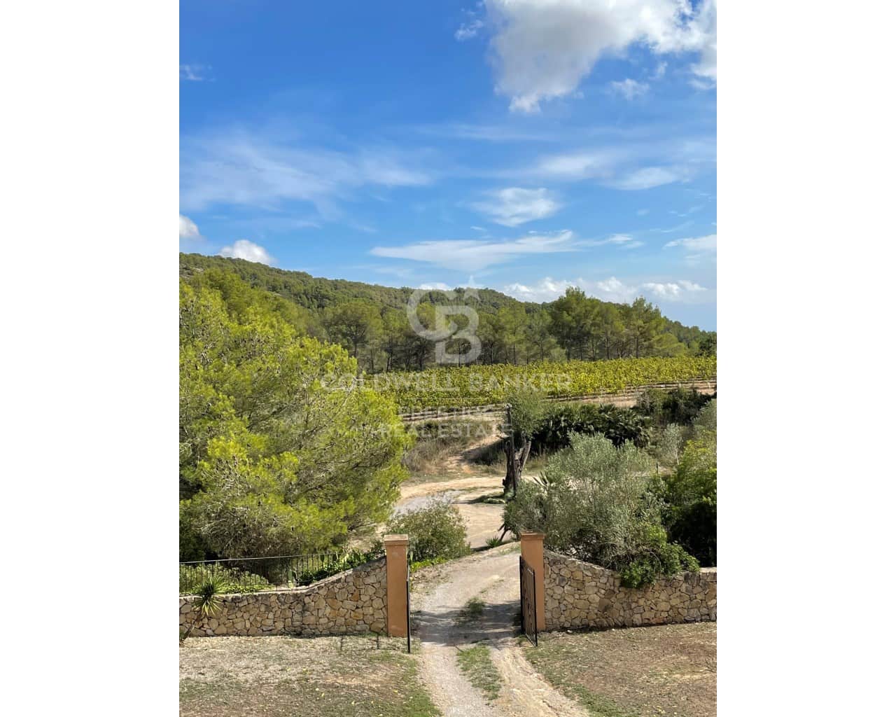 18 chambre Finca/Maison de Campagne à vendre à Vilanova i la Geltru avec piscine - 4 720 000 € (Ref: 9651828)