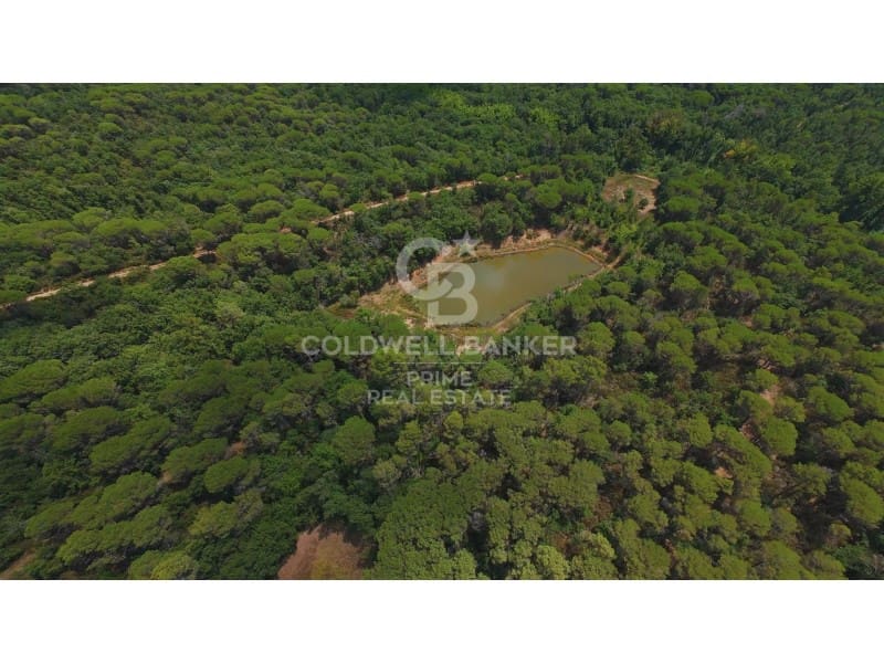 10 sovrum Finca/Hus på landet till salu i Caldes de Malavella med pool - 3 100 000 € (Ref: 9799123)