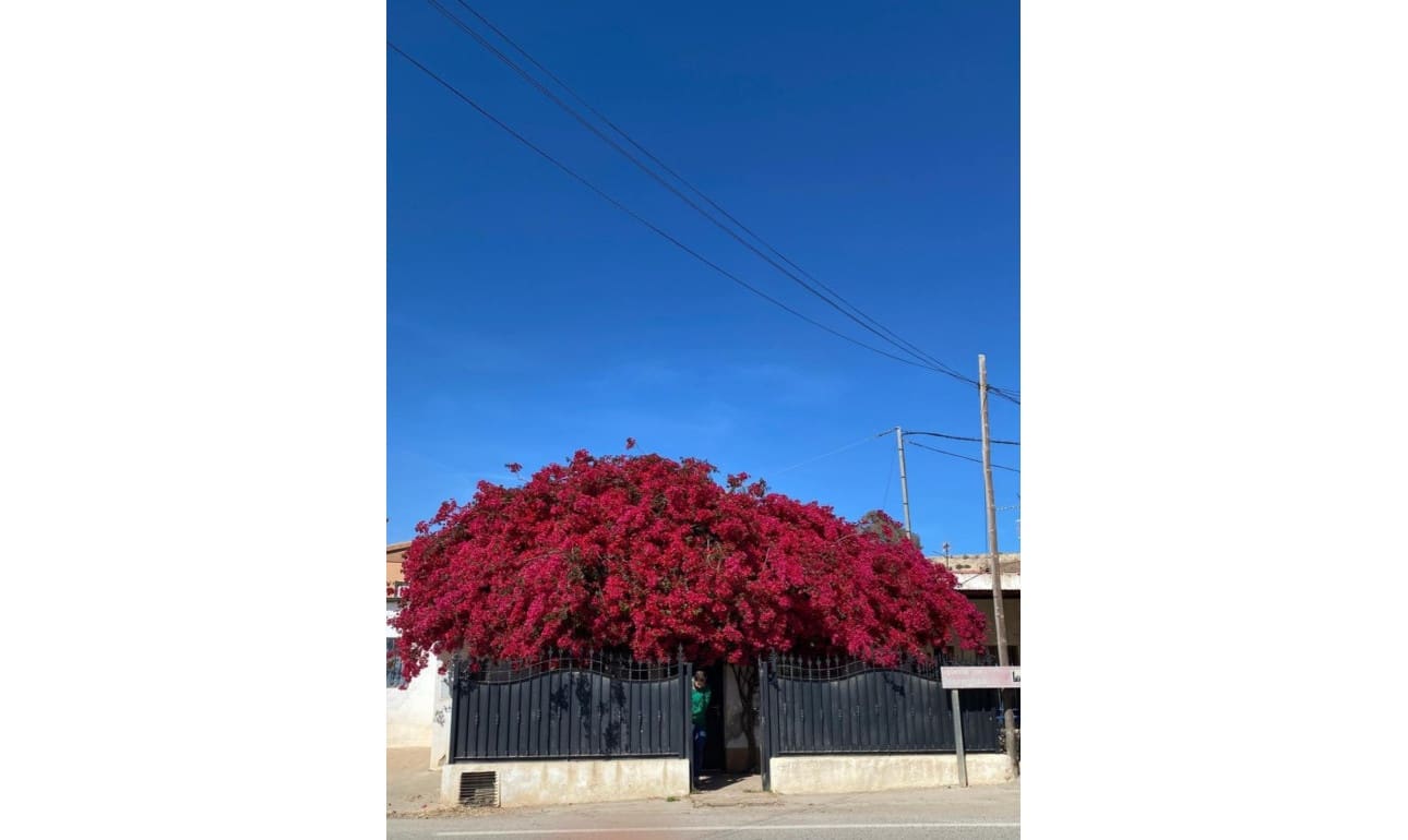 3 chambre Villa/Maison à vendre à Las Herrerias avec garage - 125 000 € (Ref: 8453975)