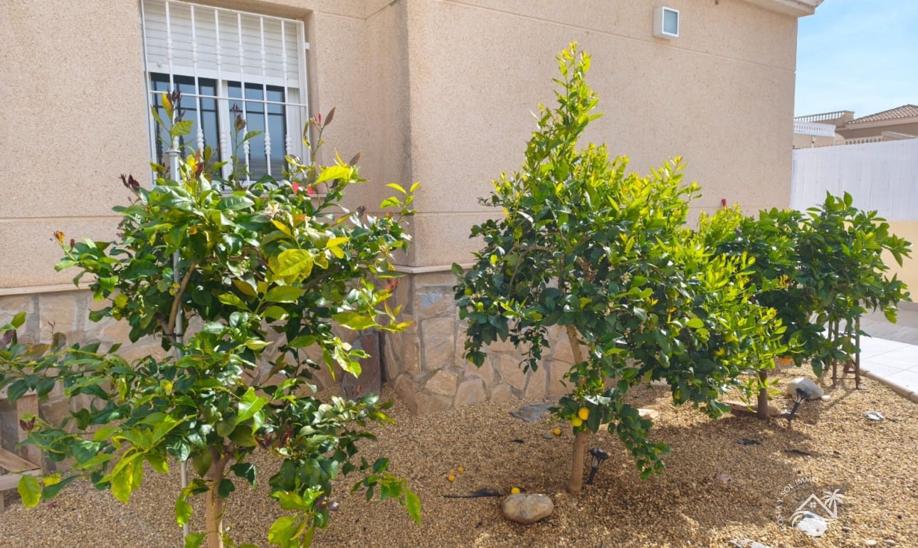 2 sovrum Villa till salu i San Juan de los Terreros med pool - 359 900 € (Ref: 9649933)