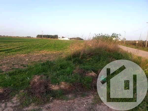Undeveloped Land for sale in Valladolises, Murcia city - € 136,000 (Ref: 9896972)