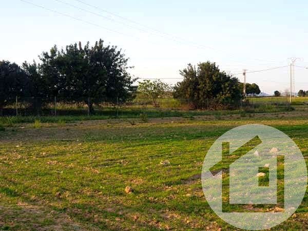 Undeveloped Land for sale in Valladolises, Murcia city - € 136,000 (Ref: 9896972)