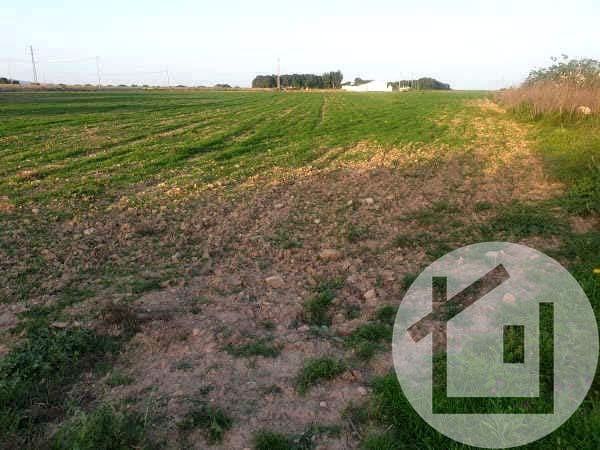 Undeveloped Land for sale in Murcia city - € 136,000 (Ref: 9896972)