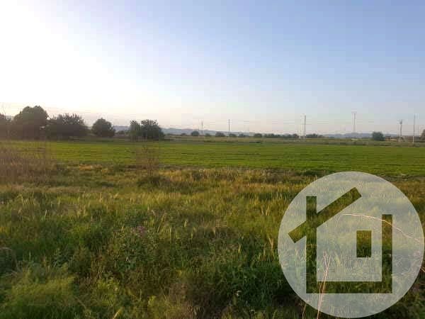 Undeveloped Land for sale in Murcia city - € 136,000 (Ref: 9896972)