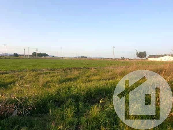 Undeveloped Land for sale in Murcia city - € 136,000 (Ref: 9896972)
