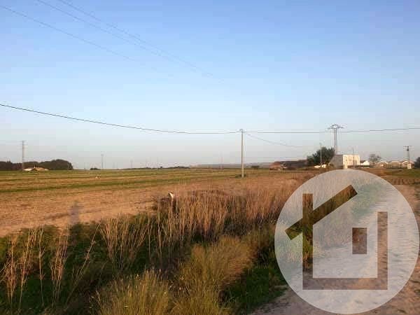 Undeveloped Land for sale in Murcia city - € 136,000 (Ref: 9896972)