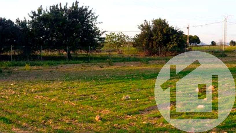 Undeveloped Land for sale in Murcia city - € 136,000 (Ref: 9896972)