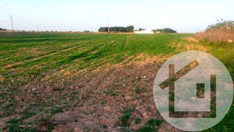 Undeveloped Land for sale in Murcia city - € 136,000 (Ref: 9896972)
