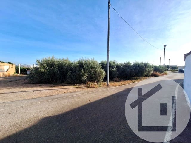 6 bedroom Finca/Country House for sale in Torre-Pacheco - € 158,900 (Ref: 9896981)