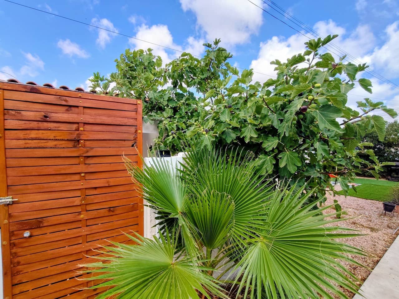 1 sypialnia Bungalow na sprzedaż w Torrevieja - 118 000 € (Ref: 10004377)