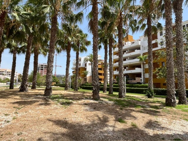 Apartamento de 2 habitaciones en Orihuela Costa en venta con piscina - 385.000 € (Ref: 10039068)