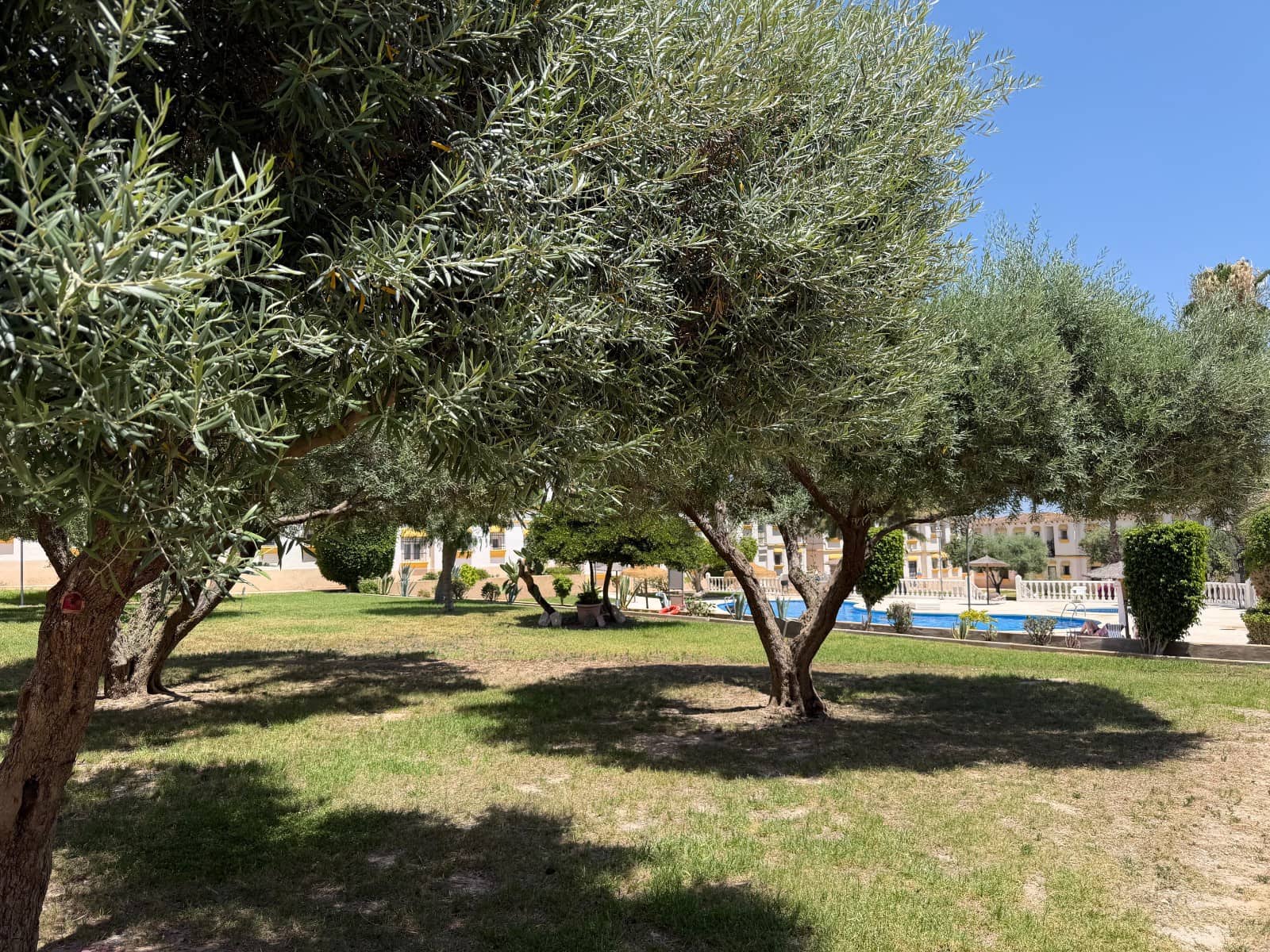 1 slaapkamer Appartement te koop in Orihuela Costa - € 110.000 (Ref: 10039072)