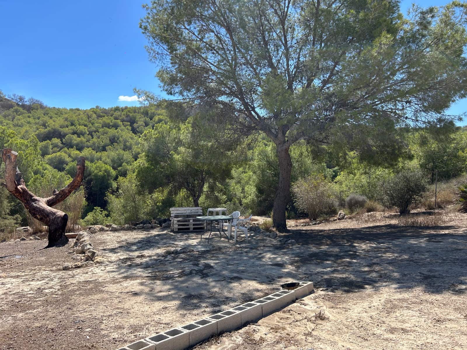 2 soverom Finca/Herregård til salgs i Torremendo med svømmebasseng - € 149 950 (Ref: 10181722)