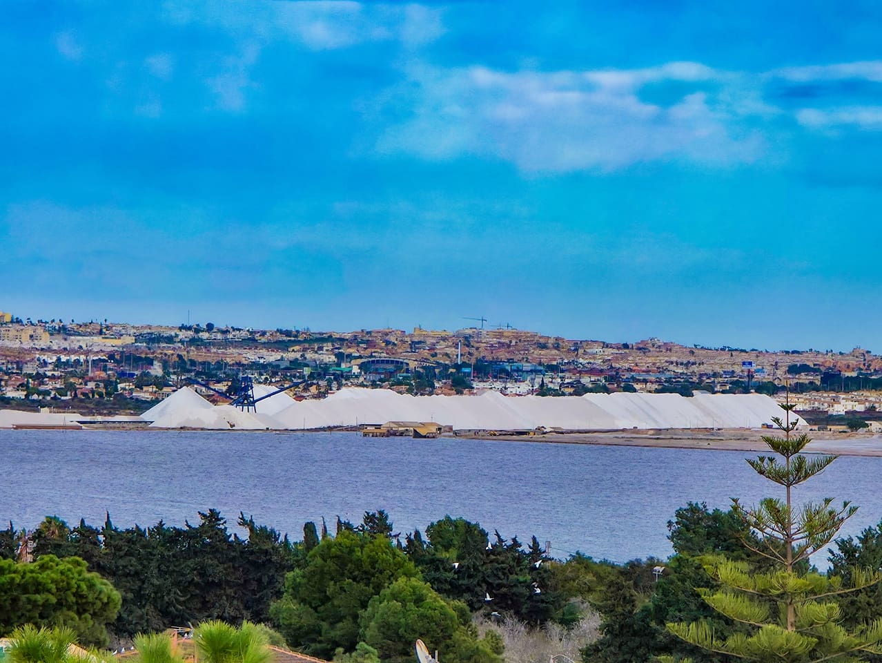 1 makuuhuone Huoneisto myytävänä paikassa Los Balcones mukana uima-altaan - 112 500 € (Ref: 9575118)