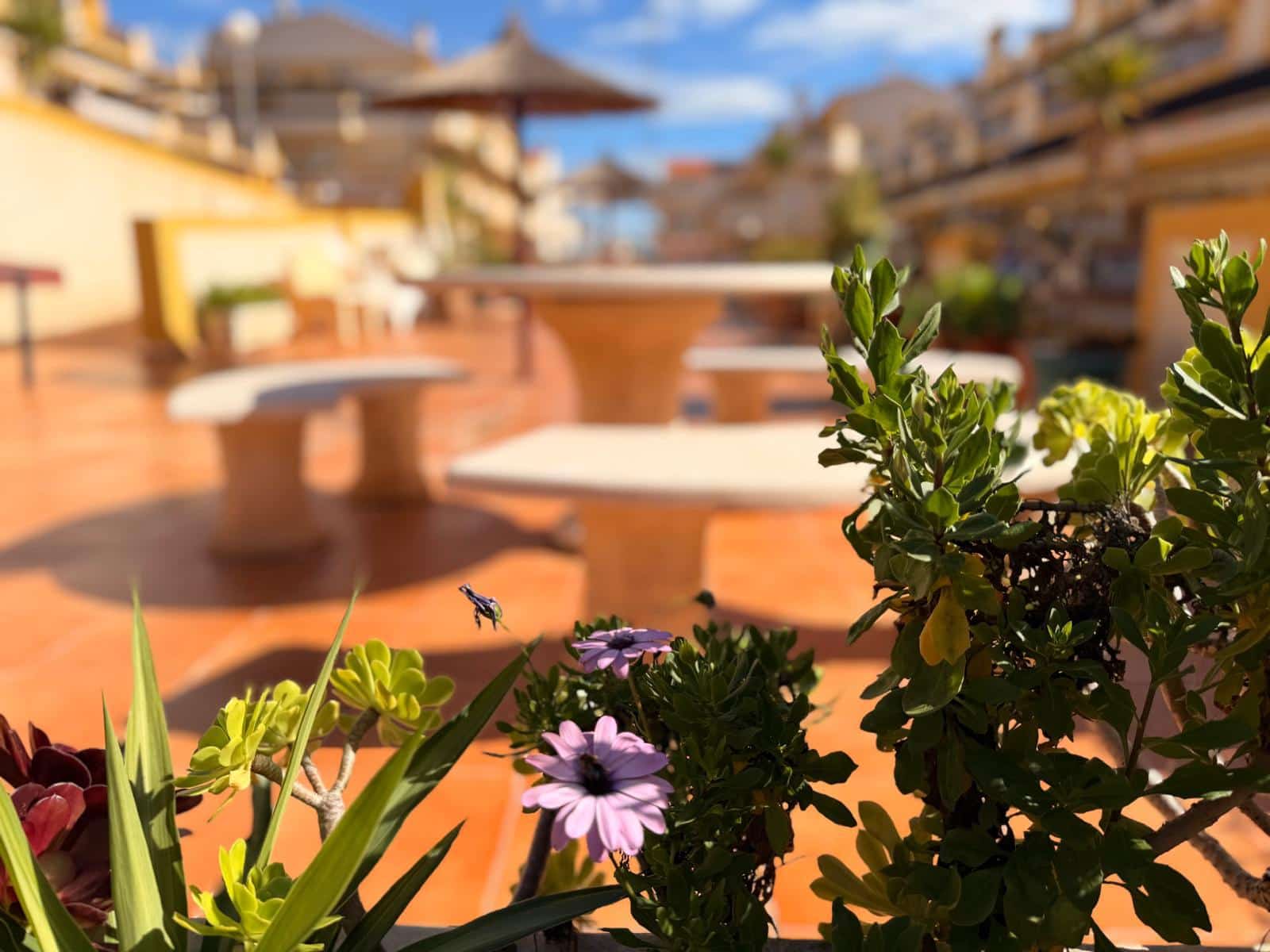 3 soveværelse Byhus til salg i Playa Flamenca med swimmingpool garage - € 177.000 (Ref: 9614594)