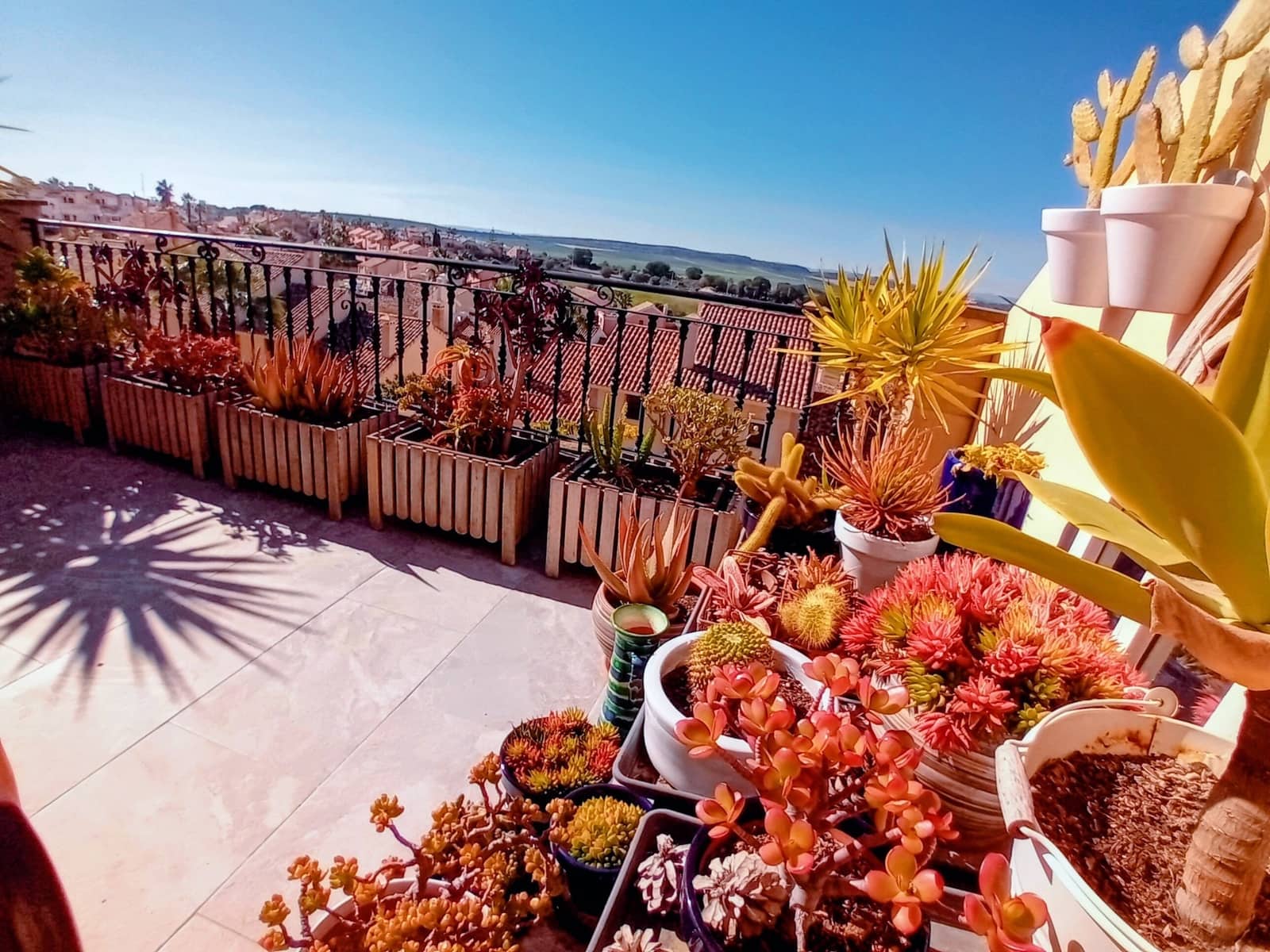 2 slaapkamer Huis te koop in Algorfa met zwembad garage - € 285.000 (Ref: 9630587)