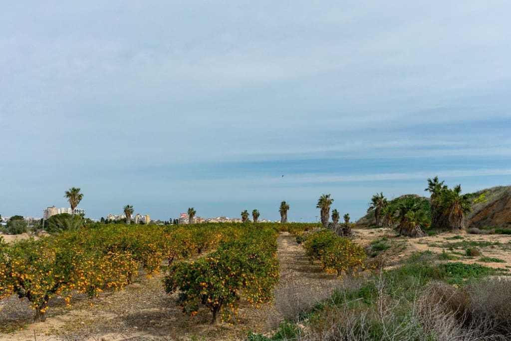 2 sypialnia Willa na sprzedaż w Los Altos z basenem garażem - 290 000 € (Ref: 9713543)