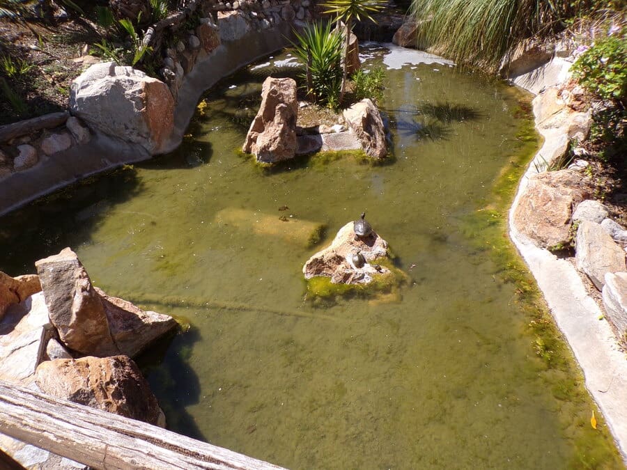 2 camera da letto Appartamento in vendita in Villamartin con piscina - 205.000 € (Rif: 9784826)