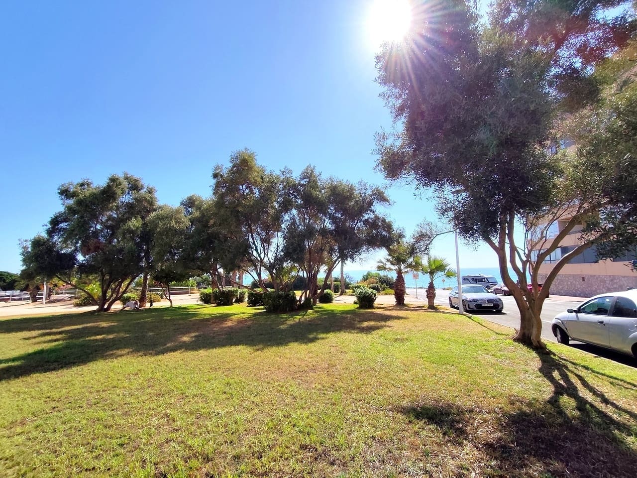 1 sypialnia Apartament na sprzedaż w Torrevieja z basenem garażem - 127 000 € (Ref: 9964342)