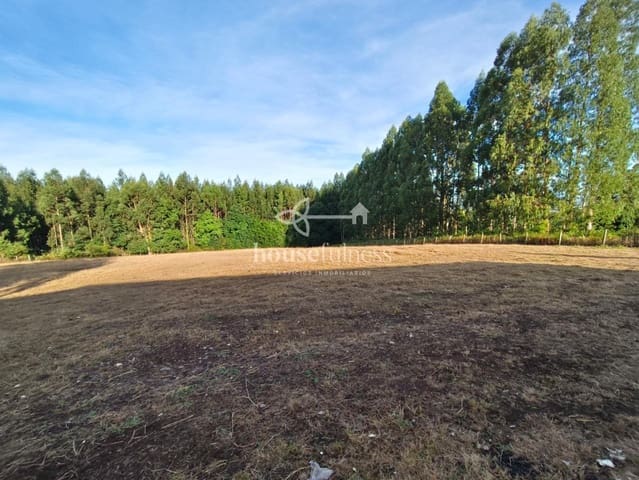 Commerciale in vendita in Fene - 270.000 € (Rif: 10030092)