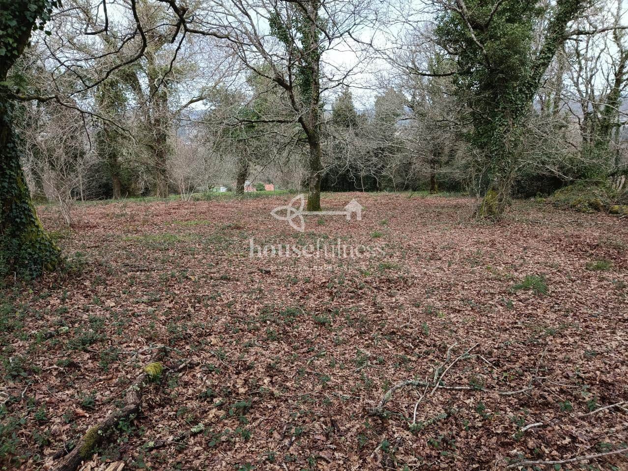 Terreno/Finca Rústica en Santiago de Compostela en venta - 550.000 € (Ref: 10145713)