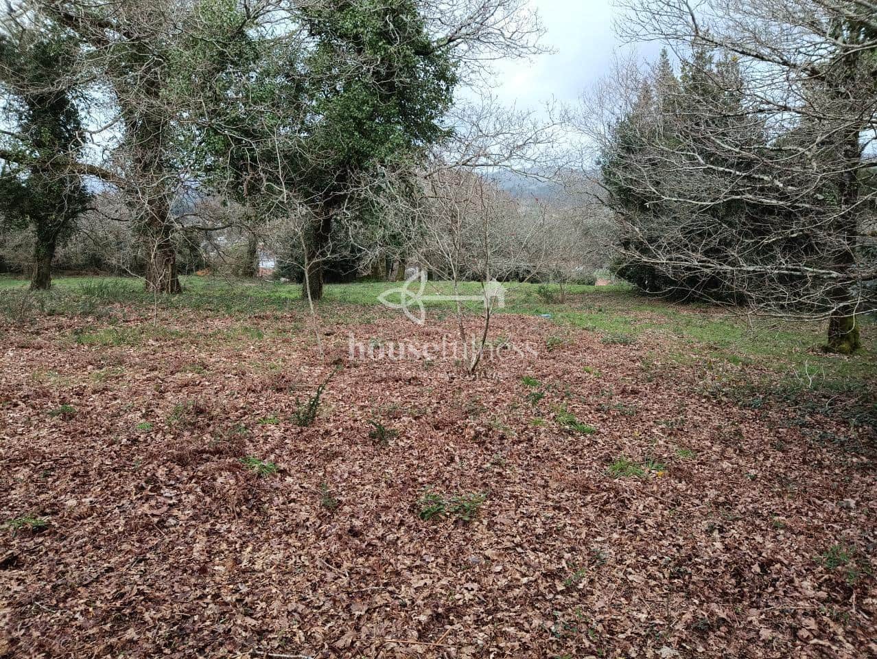 Terreno/Finca Rústica en Santiago de Compostela en venta - 550.000 € (Ref: 10145713)