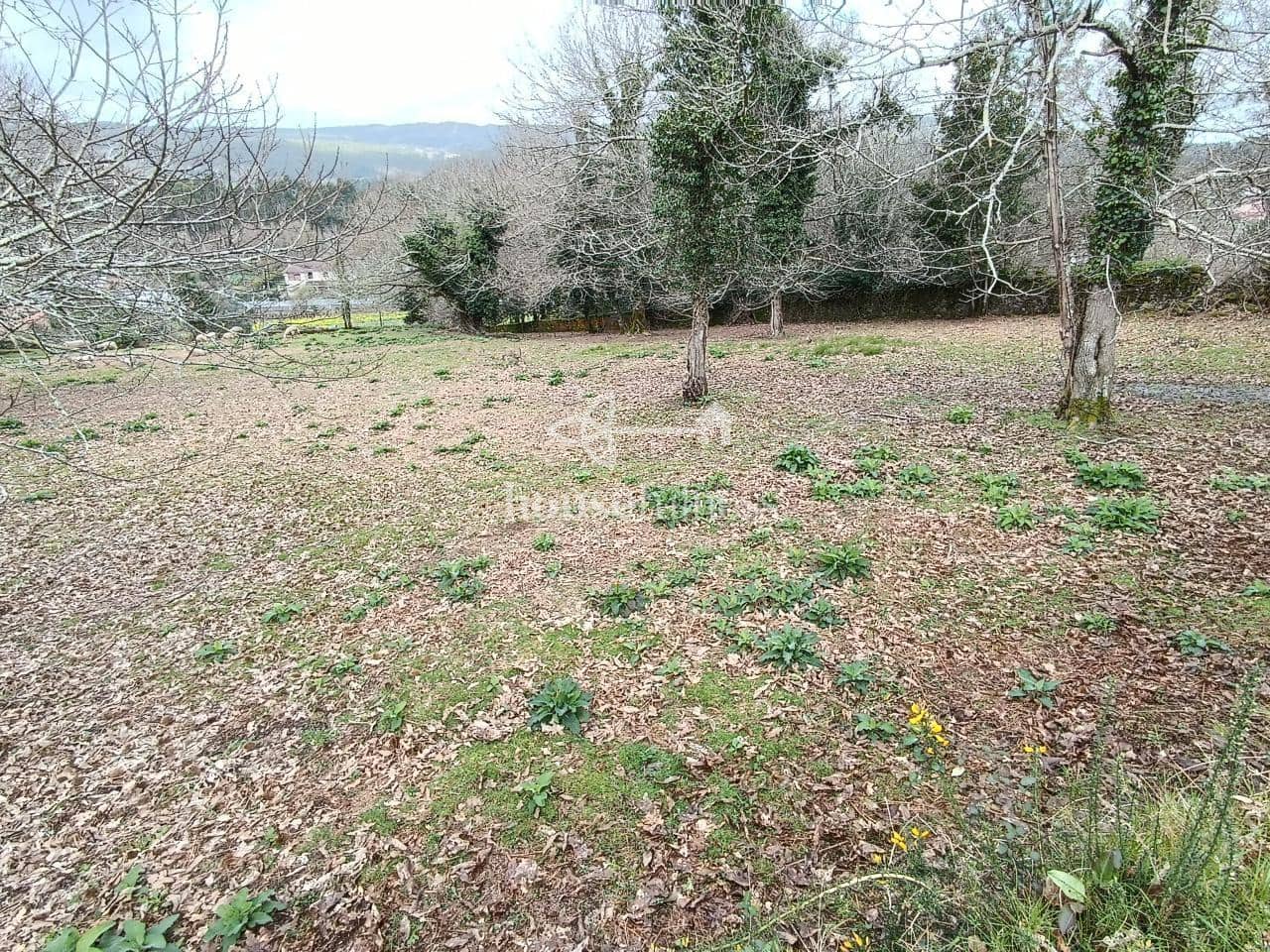 Terreno/Finca Rústica en Santiago de Compostela en venta - 550.000 € (Ref: 10145713)