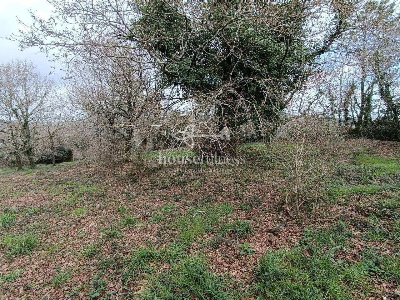 Terreno/Finca Rústica en Santiago de Compostela en venta - 550.000 € (Ref: 10145713)