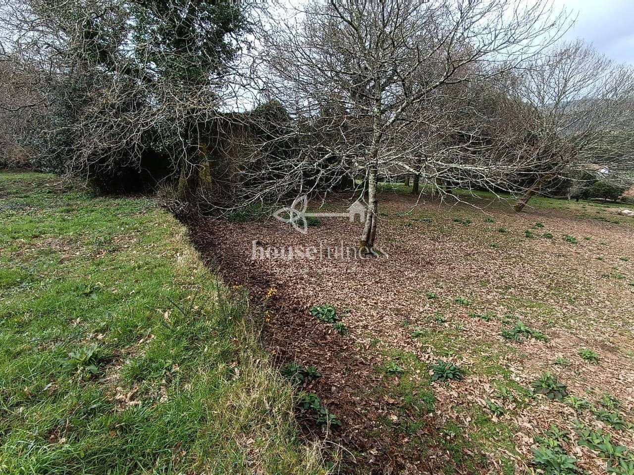 Terreno/Finca Rústica en Santiago de Compostela en venta - 550.000 € (Ref: 10145713)
