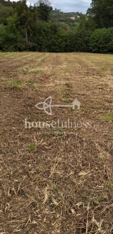 Terreno Não Urbanizado para venda em Bergondo - 40 000 € (Ref: 9218849)