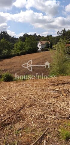 Terreno Não Urbanizado para venda em Bergondo - 40 000 € (Ref: 9218849)