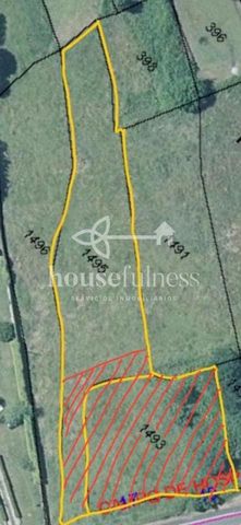 Undeveloped Land for sale in Pantin, Valdoviño - € 100,000 (Ref: 9218884)