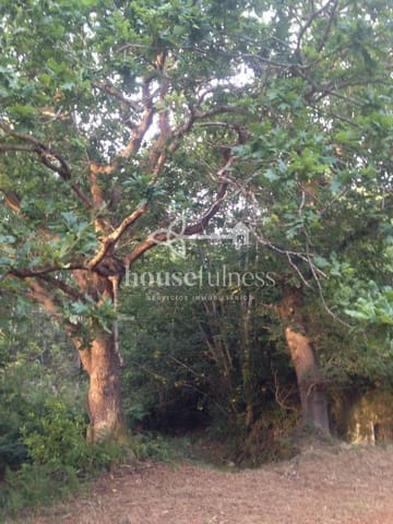 8 quarto Moradia para venda em O Vicedo - 150 000 € (Ref: 9218906)