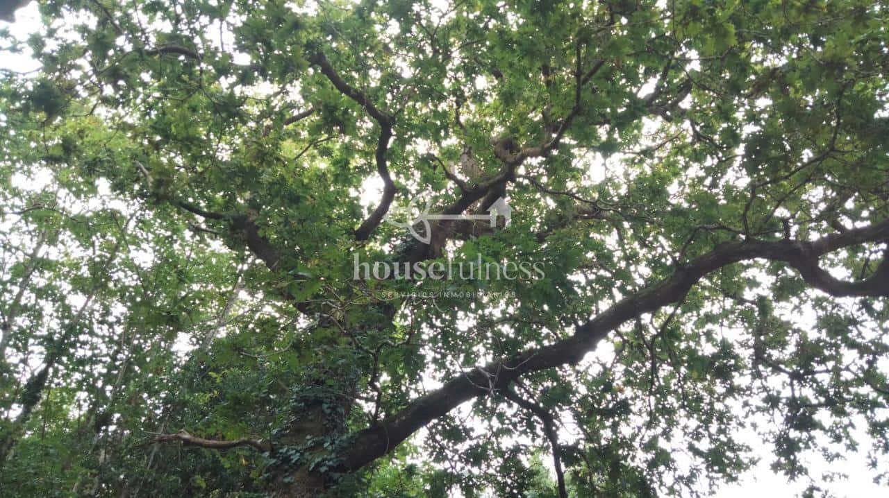 8 soverom Villa til salgs i O Vicedo - € 150 000 (Ref: 9218906)