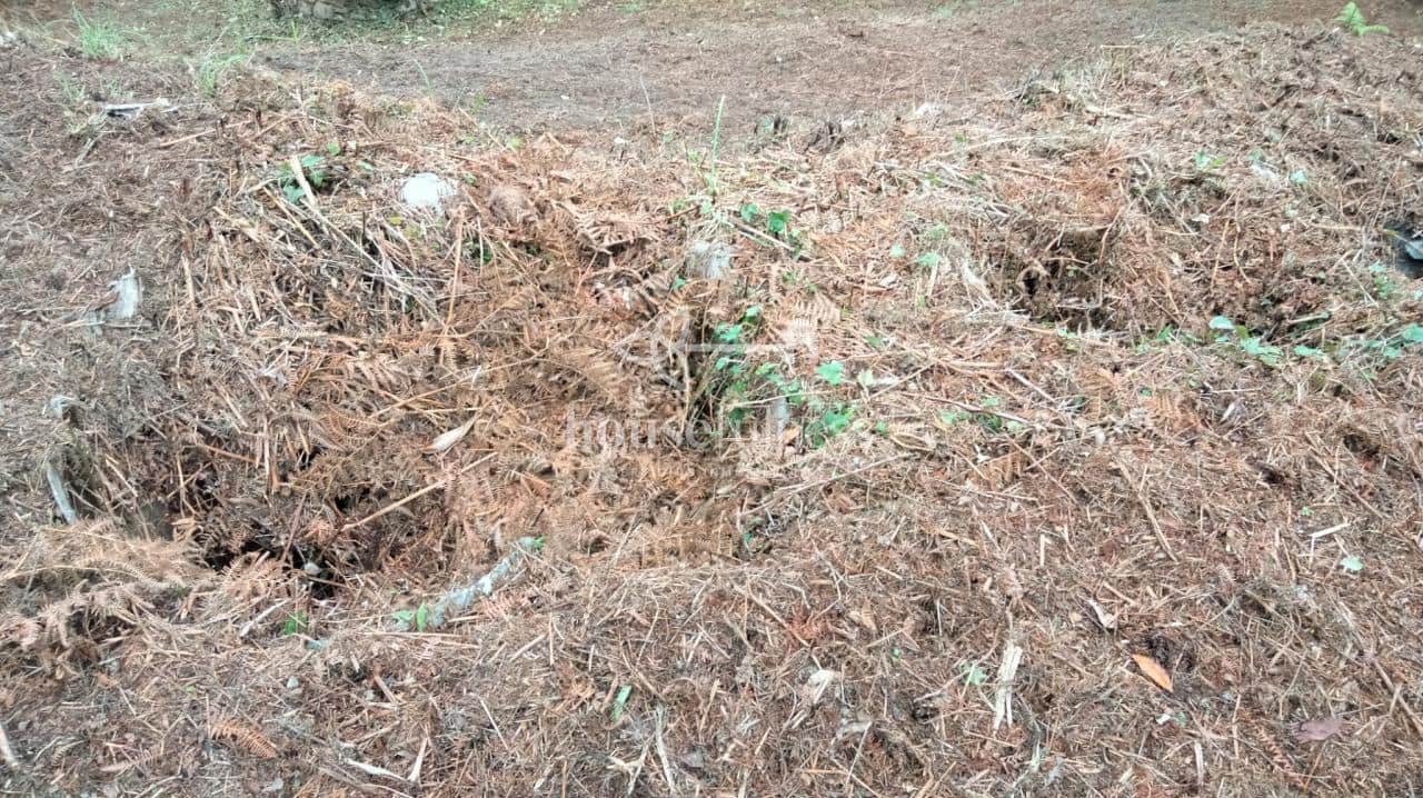 8 soverom Villa til salgs i O Vicedo - € 150 000 (Ref: 9218906)